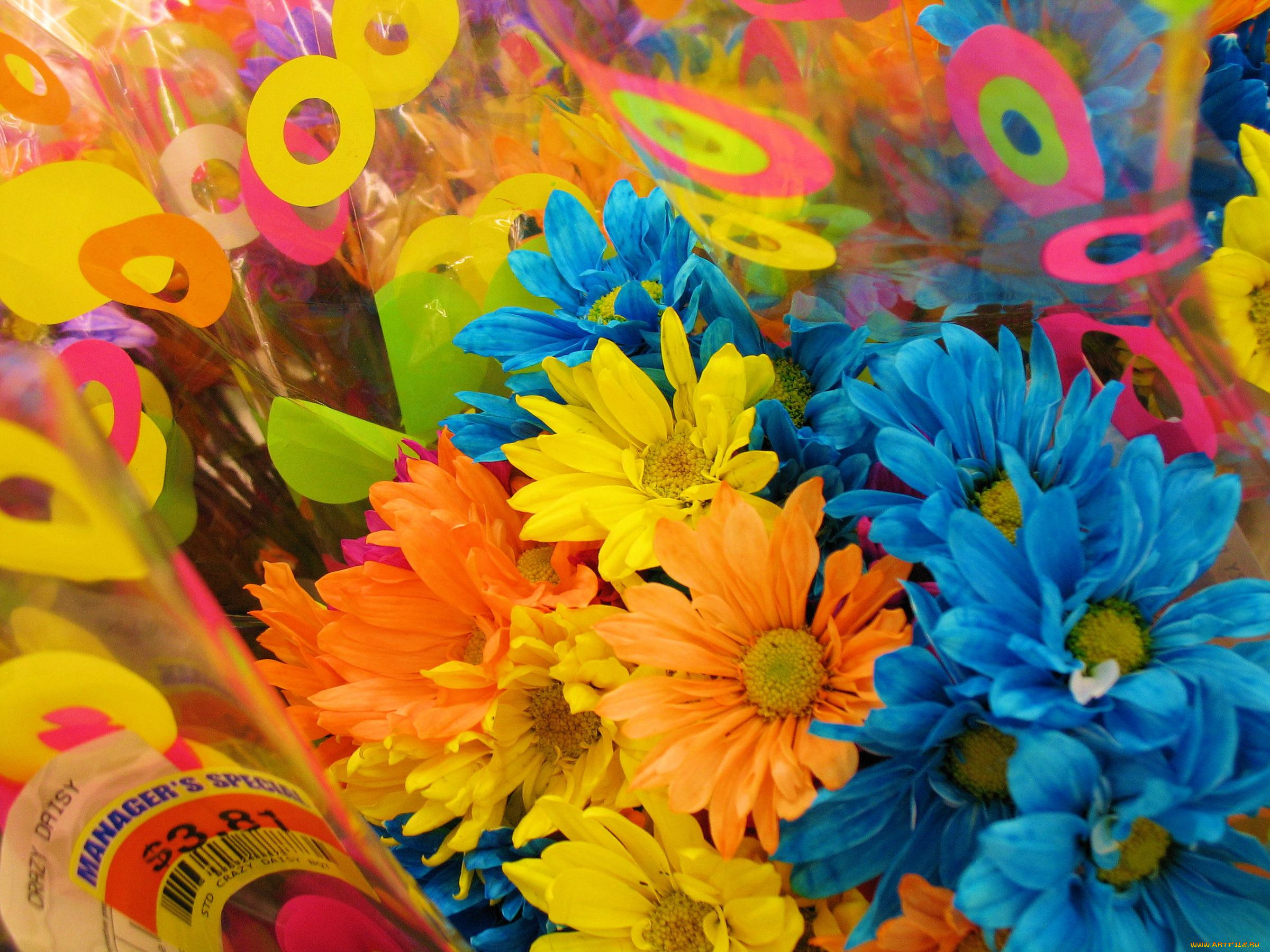 Цветы картинки праздник красивые. Яркие цветы. Яркий букет. Разноцветные цветы. Красивые яркие цветы.